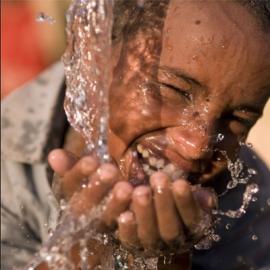 The Economic Value of Nature